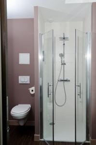 拉弗雷切Logis Hôtel Le Vert Galant的一间带卫生间和玻璃淋浴间的浴室