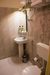古瓦哈提Hotel Park Riviera的一间带水槽、卫生间和镜子的浴室