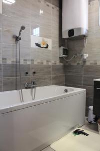 奥巴曹洛克Tisza Villa的浴室配有白色浴缸和淋浴。