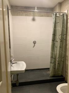 布拉格丰塔纳旅馆的带淋浴和盥洗盆的浴室
