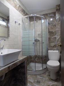 帕拉利亚潘塔利莫诺斯阿里萨奇尼公寓 的带淋浴、卫生间和盥洗盆的浴室