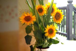 曼德沙伊德Landhotel Pension Haus Sonneck的桌子上花瓶里的一束向日葵