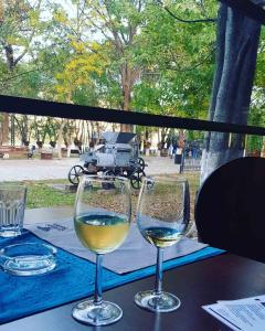 德米尔卡皮亚Villa Bratislava的桌子上坐着两杯白葡萄酒