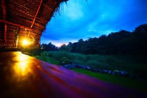达瓦拉维Aliya Riverside & Safari Resort的小屋的夜间景色,路上有灯光