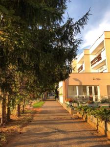 斯图帕瓦InterSport Hotel的挂在建筑物旁的街道上的一棵树