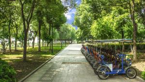武汉武汉晴川假日酒店 的停在公园里的一排自行车