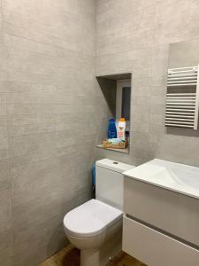 马德里Loft Desing Retiro的浴室配有白色卫生间和盥洗盆。