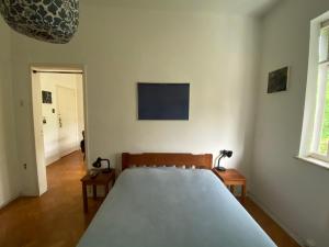 里约热内卢Vista pro verde的一间卧室,卧室内配有一张大床