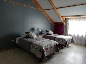 安东尼奥港Apart Hotel y Cabañas Valle Exploradores的一间卧室设有两张床和窗户。