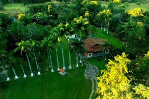 戈亚斯州上帕莱索A Sua Casa de Campo na Chapada的棕榈树房屋的空中景致