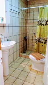 特里卡拉Trikala Apartments 2的带淋浴、卫生间和盥洗盆的浴室