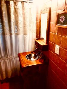 圣卡洛斯-德巴里洛切Cabaña de Montaña的一间带水槽和淋浴帘的浴室