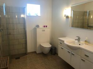 托尔斯港Light & spacious home的浴室配有卫生间、盥洗盆和淋浴。