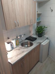 贝尔格莱德Skadarska Blue的厨房配有水槽和台面