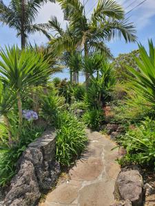 奥克兰海洋汽车旅馆的一座种有棕榈树和石头小径的花园