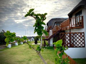 圣弗朗西斯湾Cycads on Sea Guest House的一座房子前面的树,有一座建筑物