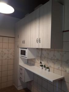 塞哥维亚La Zamarriega的厨房配有白色橱柜和微波炉