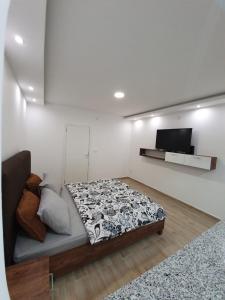 克拉列沃Apartman Jankulovski的一间卧室配有一张床,墙上配有电视