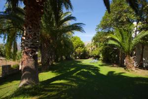 丹诺尼Damnoni Paradise的绿色草地庭院里的棕榈树