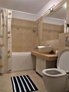 布拉索夫CASA Unchiu' ( uncle's house )的浴室配有盥洗盆、卫生间和浴缸。
