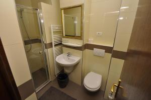 Statjunea Borsa塞布尔酒店的浴室配有卫生间、盥洗盆和淋浴。