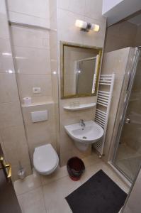 Statjunea Borsa塞布尔酒店的一间带水槽、卫生间和镜子的浴室