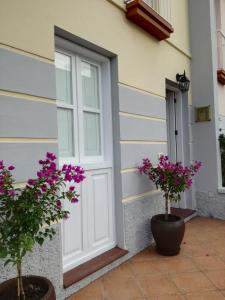 巴耶格兰雷伊Casa La Palomera 1的紫色花房上的白门