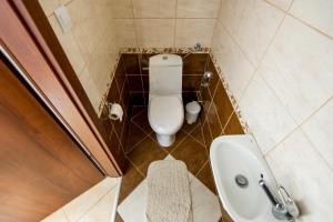 布达佩斯Grand Budapest Penthouse的一间带卫生间和水槽的小浴室
