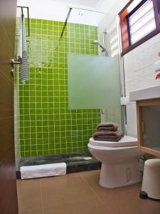 克拉伦代克ChuChubi Studio Apartment Bonaire的绿色瓷砖浴室设有卫生间和淋浴。