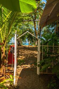 别霍港Casitas La Playa的海滩入口,有栅栏和树木