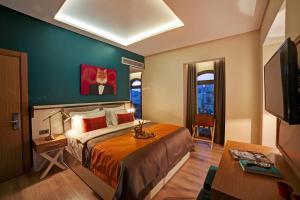 伊斯坦布尔The Fox Hotel的配有一张床和一台平面电视的酒店客房