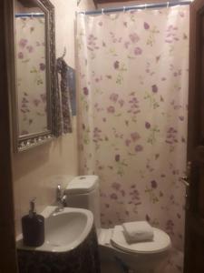 番红花城Nimet Hanım Konağı的浴室设有卫生间和鲜花淋浴帘