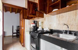 巴亚尔塔港奥拉斯艾塔斯套房公寓酒店的厨房配有炉灶和水槽
