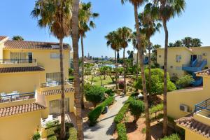 阿依纳帕马克罗尼索斯岛村公寓式酒店的享有棕榈树建筑庭院的空中景致