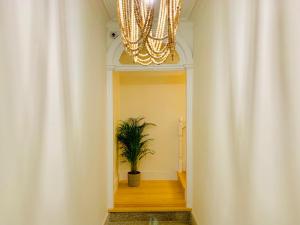 布拉加The Arch - Charming Apartments in the Historic Center的走廊上设有盆栽植物和吊灯