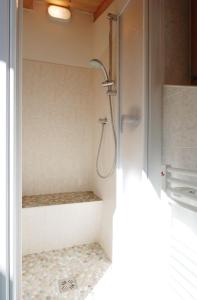 普雷达佐Casa Seler - Appartamento rosso的带淋浴的浴室(铺有瓷砖地板)