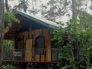 蒙泰韦尔德哥斯达黎加Monteverde Romantic Cottage的森林中间的树屋