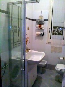 莫内利亚Casa dell'ulivo的一间带水槽、淋浴和卫生间的浴室