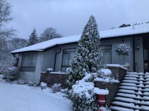 NailseaVillacai的雪中有一棵圣诞树的房子