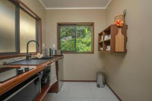拉罗汤加Rainbow Villas的厨房设有水槽和窗户。