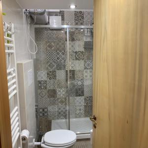 RovereAppartamento sirente的带淋浴、卫生间和浴缸的浴室