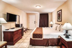 EllisvillePalms Garden Inn的配有一张床和一台平面电视的酒店客房