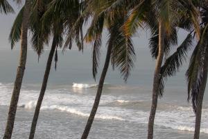 韦利格默J Walker Hostel的海滩上的两棵棕榈树与大海