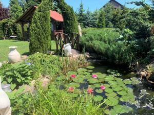 斯诺科白玉兰客房旅馆的花园,花园内有种有花草的池塘