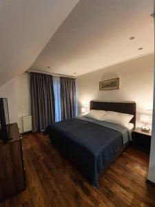 斯图帕瓦Il Galeone hotel的一间卧室配有一张带蓝色毯子的大床