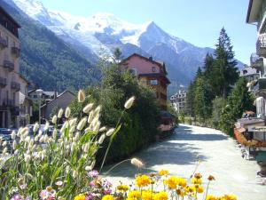 夏蒙尼-勃朗峰瓦雷布兰驰酒店的一条有鲜花和山脉的街道
