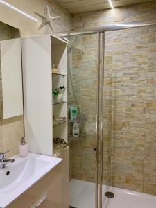 贝林佐拉Casa Nataliya, via tampori 8 6503 Bellinzona的带淋浴和盥洗盆的浴室