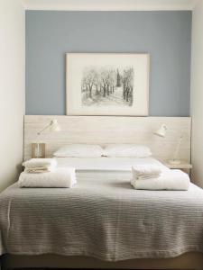 蒙蒂茹Apartamento espaçoso e confortável no centro do Montijo的床上有两张枕头,上面有画