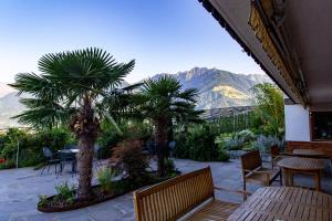 思科纳奥博塔波霍弗酒店的庭院设有桌椅,棕榈树和山脉