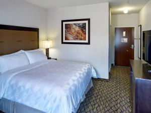 西黄石西黄石假日酒店的酒店客房设有一张大床和一台电视。